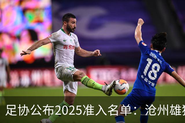 足协公布2025准入名单：沧州雄狮、广州队无缘